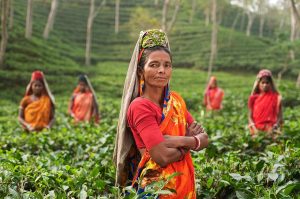 Indian Woman